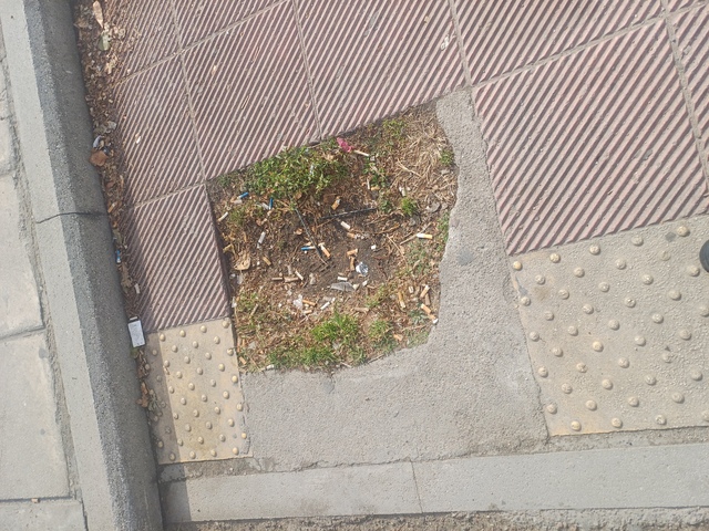 Φωτογραφία 4