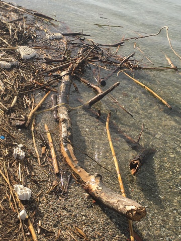 Φωτογραφία 2