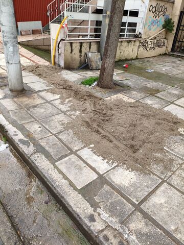 Φωτογραφία 5