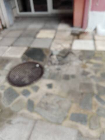 Φωτογραφία 2