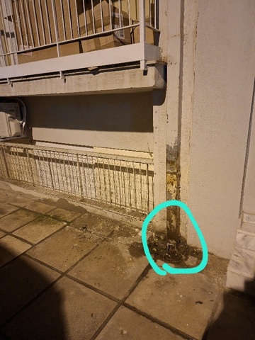 Φωτογραφία 2