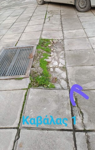 Φωτογραφία 2