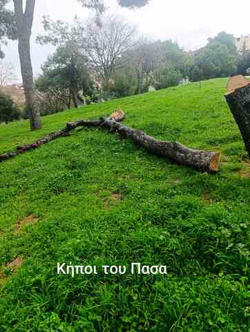 Φωτογραφία 2