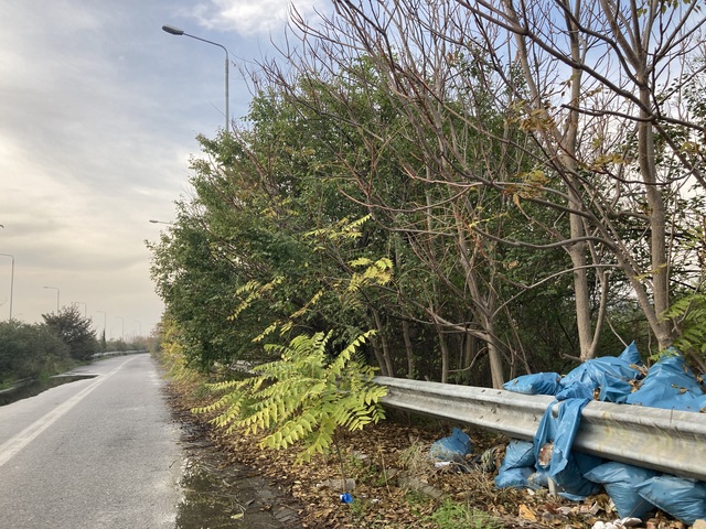 Φωτογραφία 2