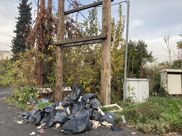 Φωτογραφία 3