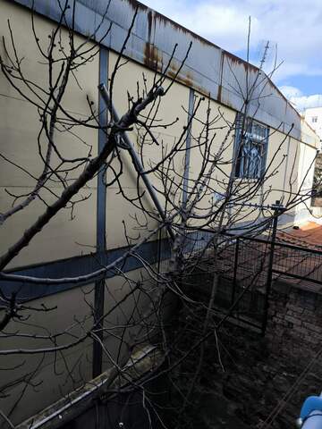 Φωτογραφία 2