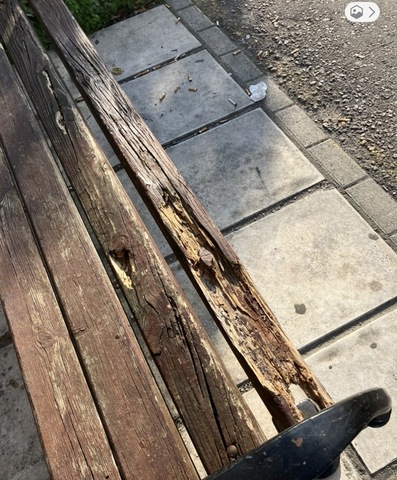 Φωτογραφία 3