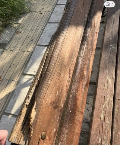 Φωτογραφία 4