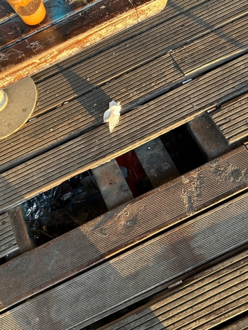 Φωτογραφία 7