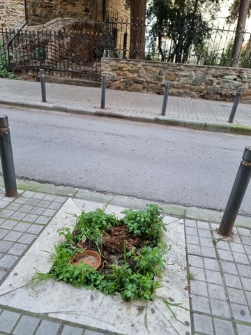 Φωτογραφία 2