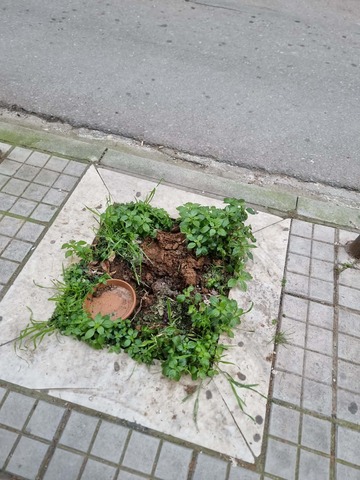 Φωτογραφία 3