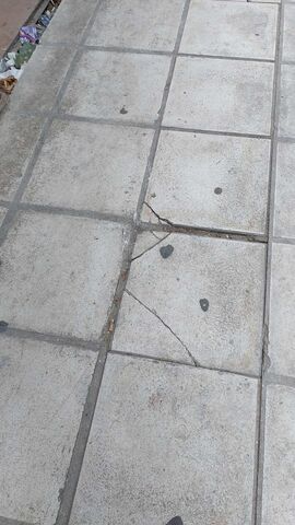 Φωτογραφία 4