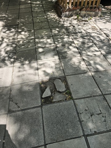 Φωτογραφία 2