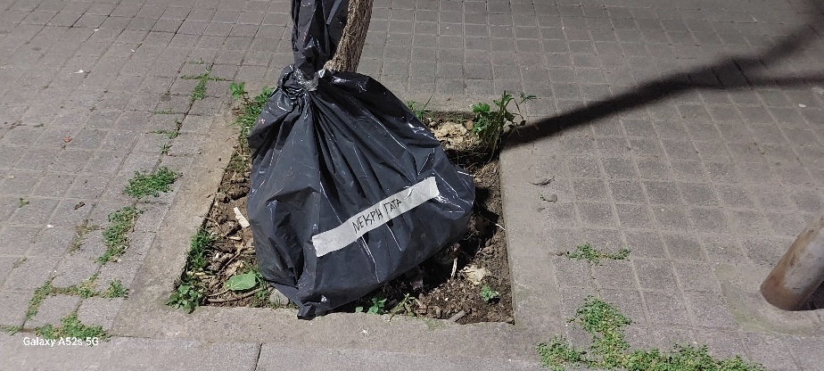 Φωτογραφία 2