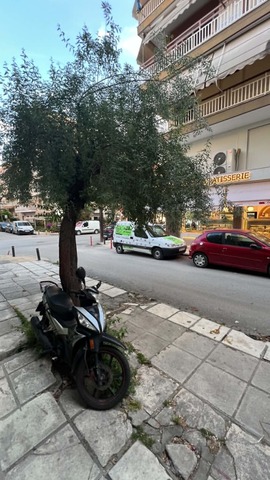Φωτογραφία 3