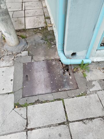 Φωτογραφία 5