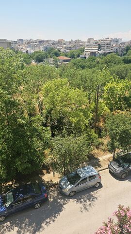 Φωτογραφία 4
