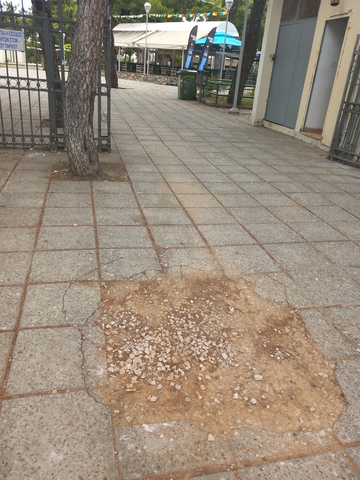 Φωτογραφία 2