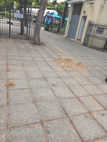 Φωτογραφία 4