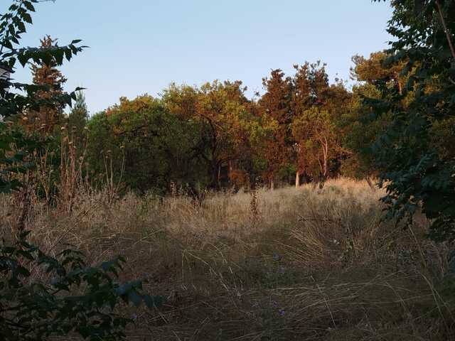 Φωτογραφία 2