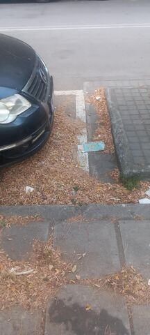 Φωτογραφία 3