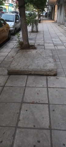 Φωτογραφία 2