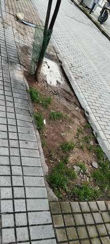 Φωτογραφία 2