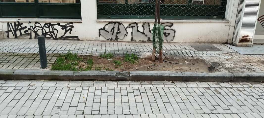 Φωτογραφία 3
