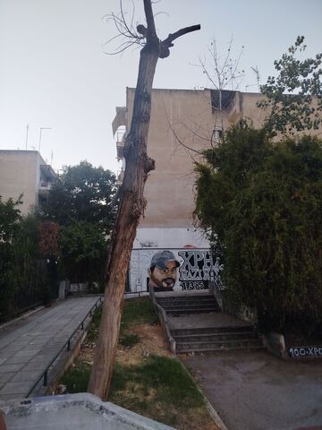 Φωτογραφία 2
