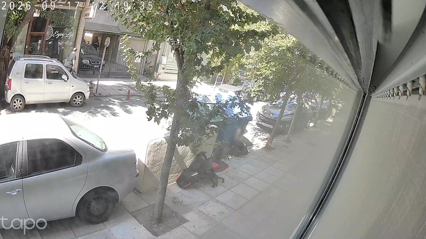 Φωτογραφία 2