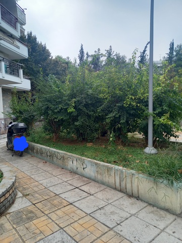 Φωτογραφία 4