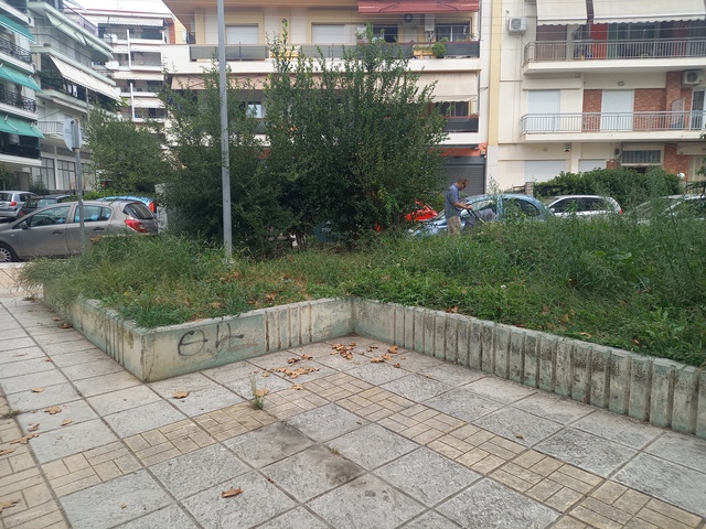 Φωτογραφία 6