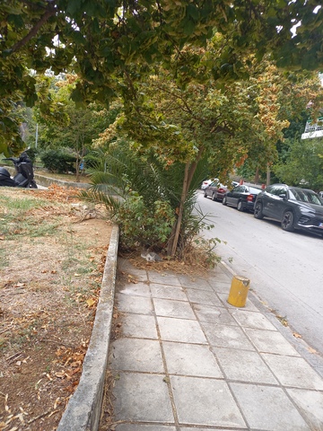 Φωτογραφία 18