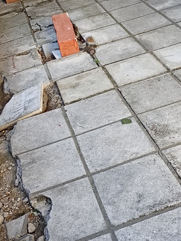 Φωτογραφία 2