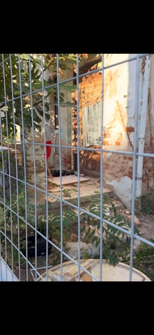 Φωτογραφία 3