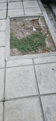 Φωτογραφία 2