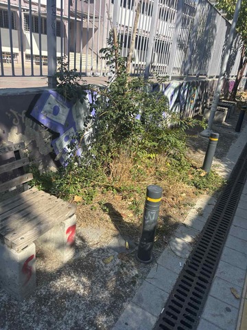 Φωτογραφία 3
