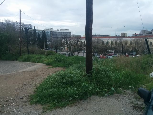 Φωτογραφία 3