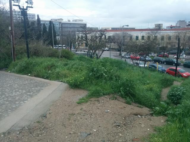 Φωτογραφία 4