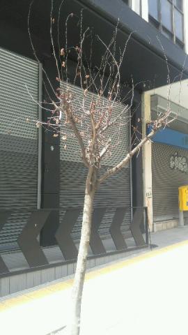 Φωτογραφία 2