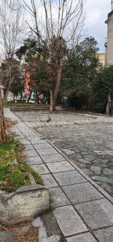 Φωτογραφία 2