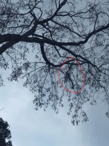 Φωτογραφία 2