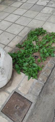 Φωτογραφία 2