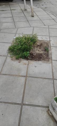 Φωτογραφία 3