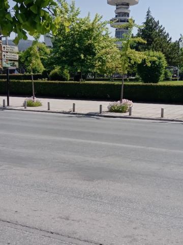 Φωτογραφία 2