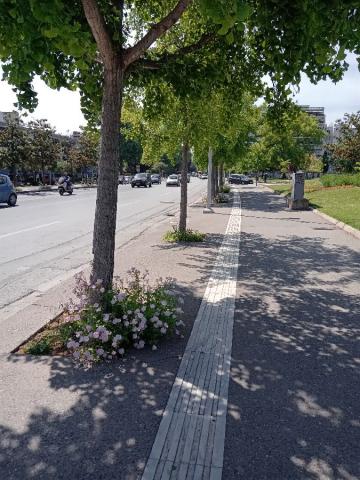 Φωτογραφία 3