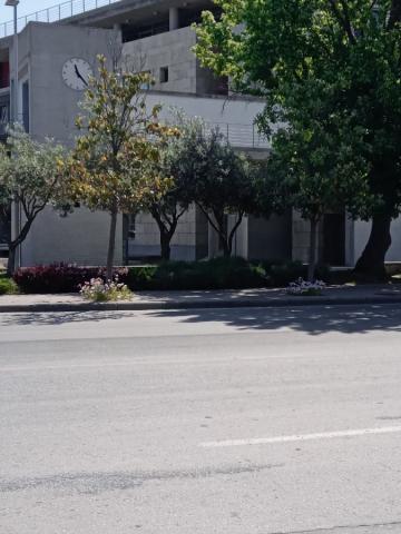 Φωτογραφία 4