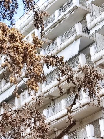 Φωτογραφία 2