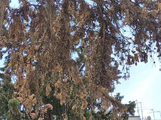 Φωτογραφία 3