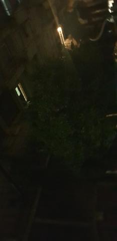 Φωτογραφία 2